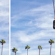 Image for article titled New Photoshop Elements Update Is Tailor-Made for Pet Pics
